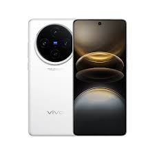 Vivo X100s